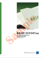의왕장안프로젝트금융투자(주) (대표자:노석순)  Brief Report – 영문 요약
